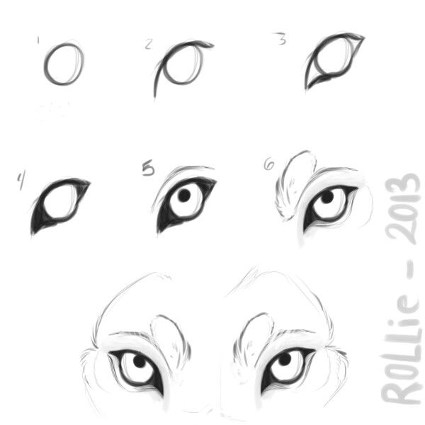 the steps to draw an eye