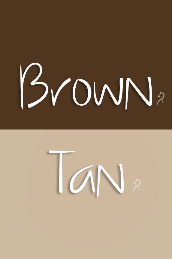 the words tan and brown are written in different font styles, including one for each letter