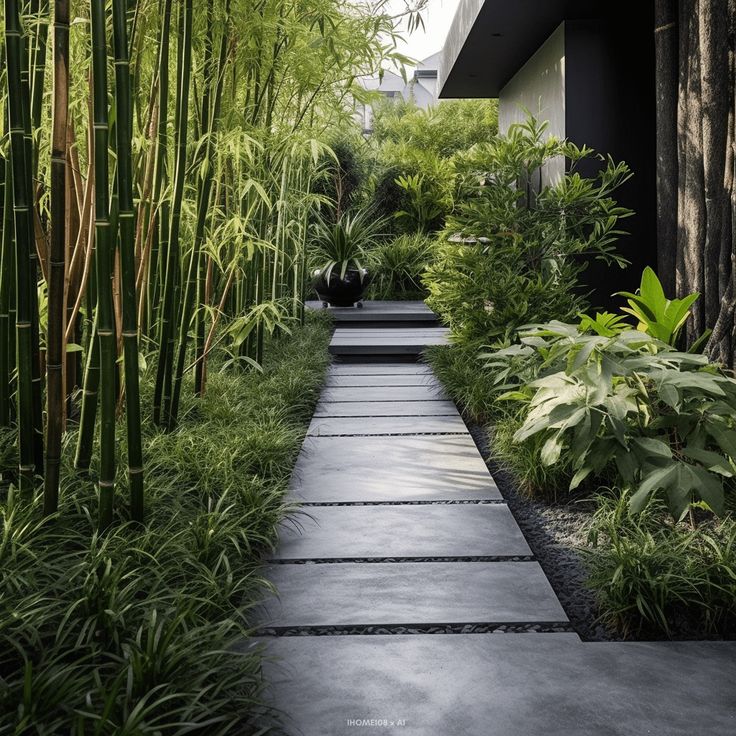 an outdoor walkway surrounded by bamboo trees and plants