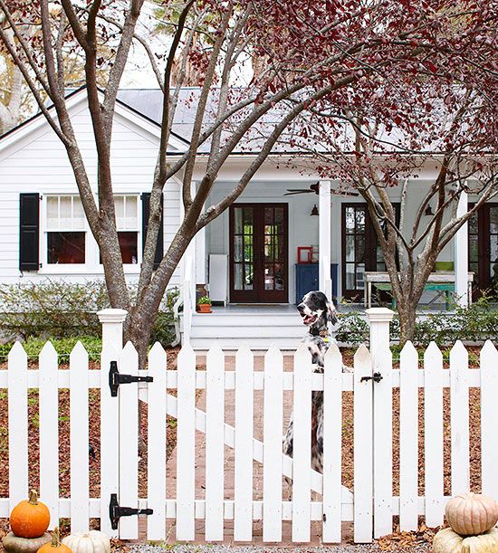 a dog jumping over a white picket fence