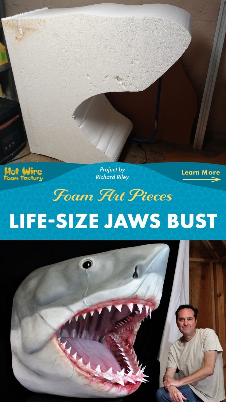 life sized wall mounted replica bust of the shark from jaws made out of eps foam Jaws Bruce, Bruce The Shark, Jaws 4, Homecoming Floats, Shark Sculpture, Foam Sculpture, Jurassic Park Party, Foam Factory, Lost City Of Atlantis