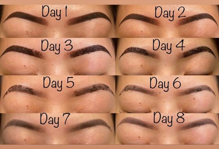 Pin by Niquita Sugawara on Microblading in 2022 | Tissue paper flowers diy, Eyebrow tattoo, Tissue paper flowers Ombre Powder Brows Healing Process, Brow Salon Ideas, Microblading Eyebrows Training, Microblading Healing Process, Diy Eyebrow, Pmu Brows, Mircoblading Eyebrows, Micro Blading, Ombre Eyebrows