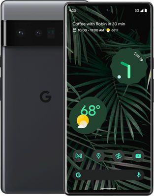 the front and back view of an upcoming google pixel smartphone, with palm leaves in the background