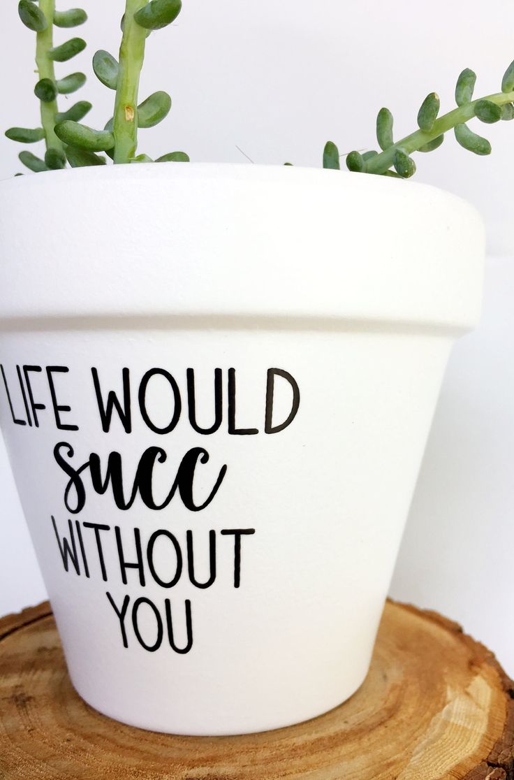 Life Would Succ Without You, Plant Pot Sayings, Punny Pots, Ceramic Saucer, Plant Puns, Plant Pot Design, Flower Pot Art, Plant Pot Diy, Plants Quotes