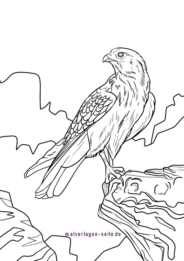 a bird sitting on top of a tree branch in the forest coloring page for adults