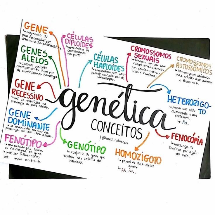 a piece of paper with the words genetica written in different languages on it