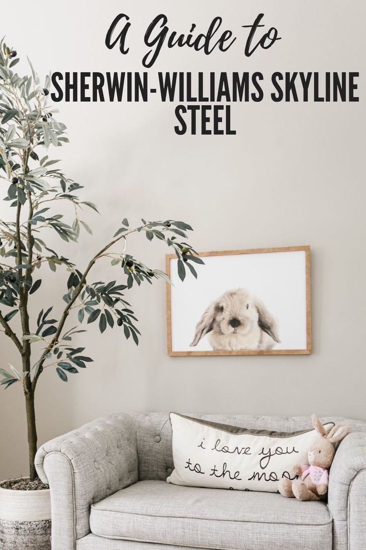 a living room with a couch, potted plant and framed photo on the wall