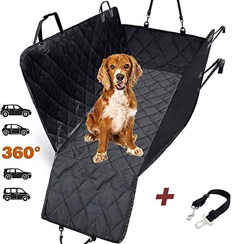 a dog sitting on top of a car seat cover next to its owner's accessories