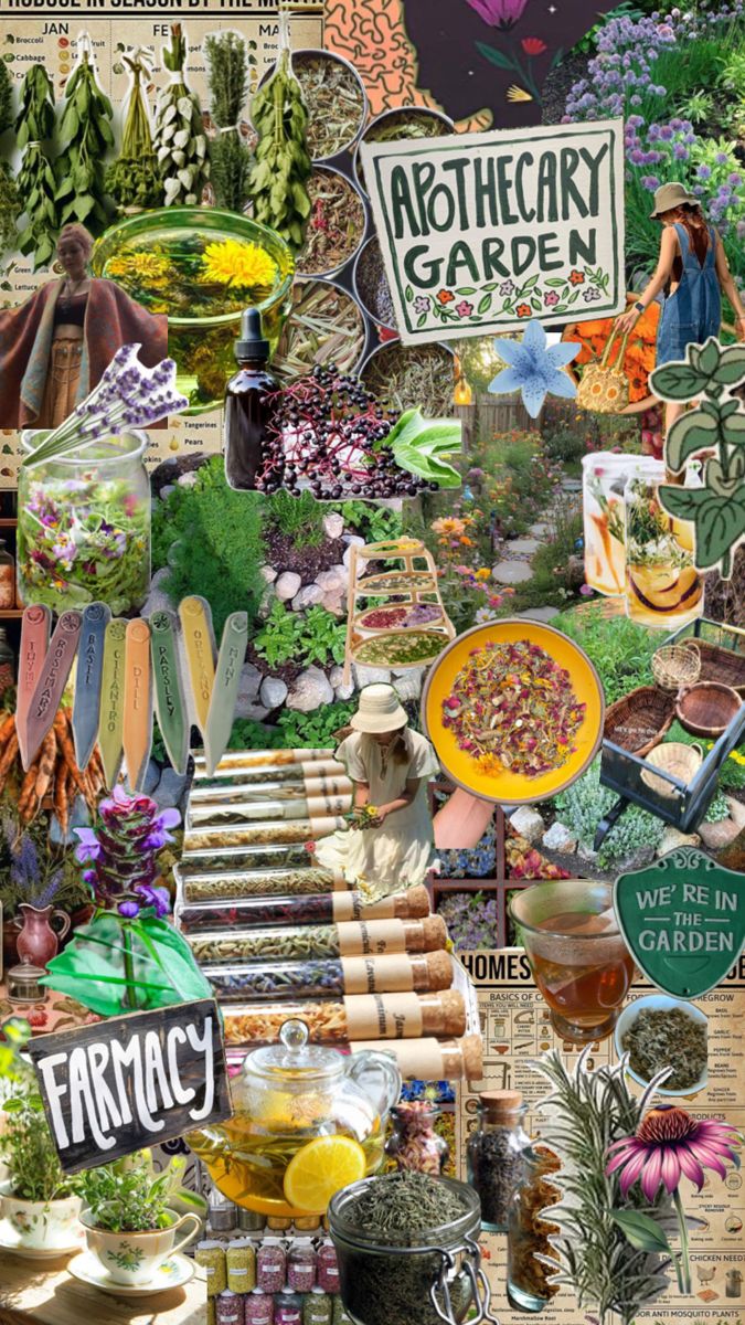 a collage of gardening related items including flowers, plants, and herbs is featured in this image