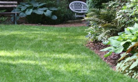 a white bench sitting in the middle of a lush green yard