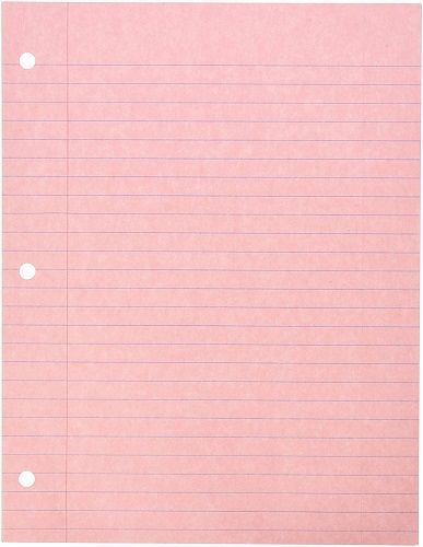 pink lined paper with two holes on each side