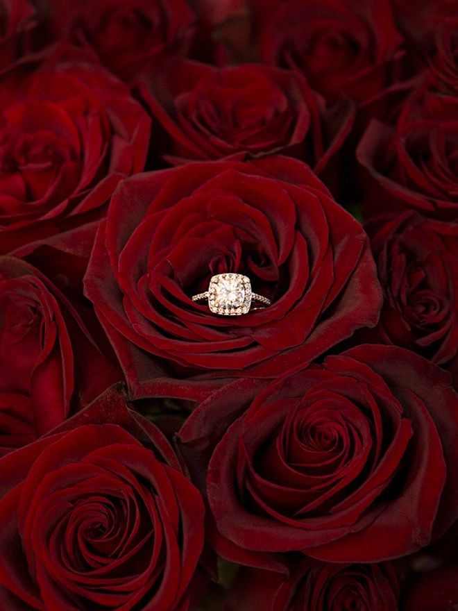 a bouquet of red roses with a diamond ring on it's center surrounded by petals