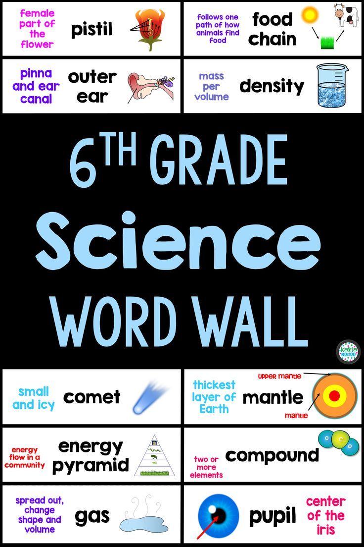 the 6th grade science word wall is shown in black and white with blue text on it