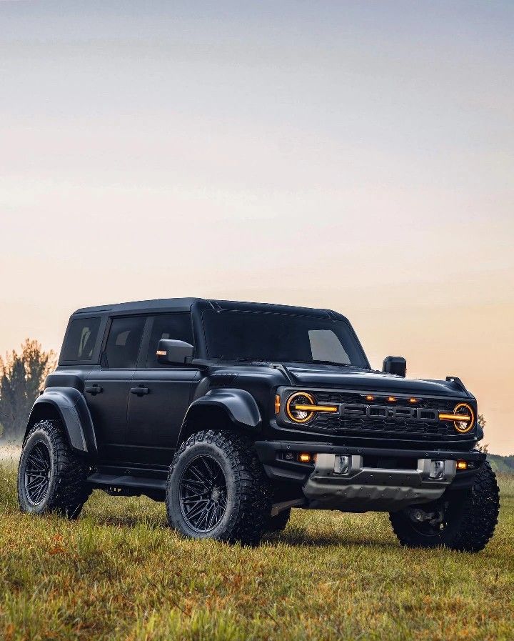 a black truck is parked in the grass