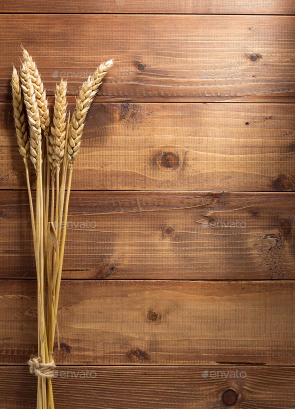 three stalks of wheat against a wooden wall - stock photo - images in high resolution