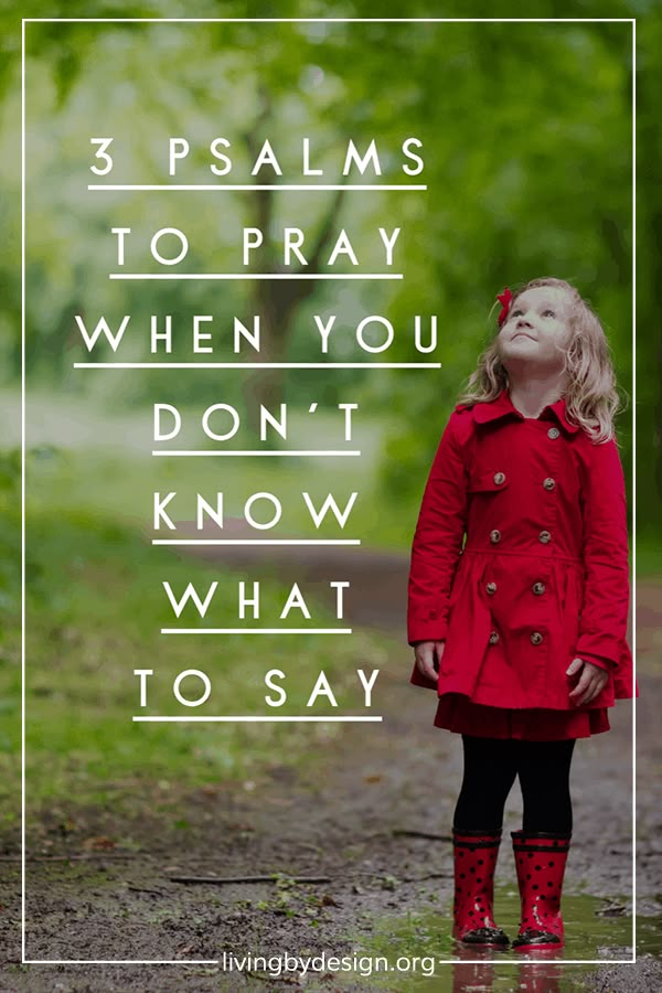 God's Word is powerful when we read it, but doubly so when we pray it! Today, I'm sharing my 3 favorite psalms to pray when I don't know what to say. 3 Psalms to Pray when You Don't Know what to Say. I hope these prayers encourage you, and give you a place to start when you are feeling stuck in the mud. #prayers #dailyprayer #pray Intercessory Prayer Examples, Godly Homemaking, Psalm 55, Stuck In The Mud, Prayers For Strength, How To Pray, Prayer For Family, Bible Love, Prayer Verses