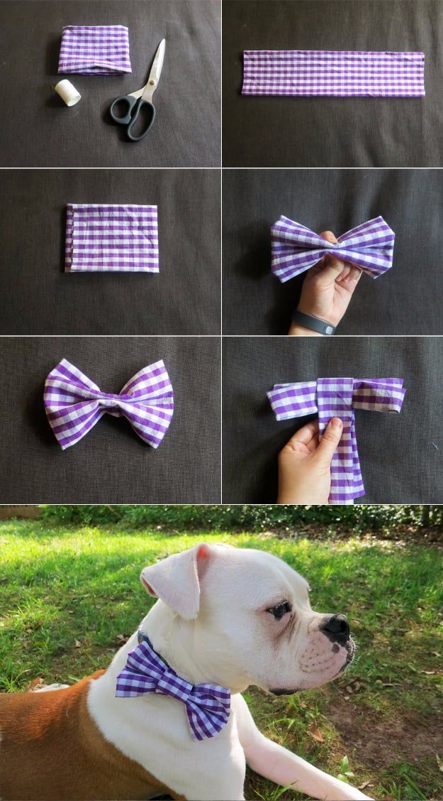 how to make a bow tie for your dog - step by step instructions and pictures