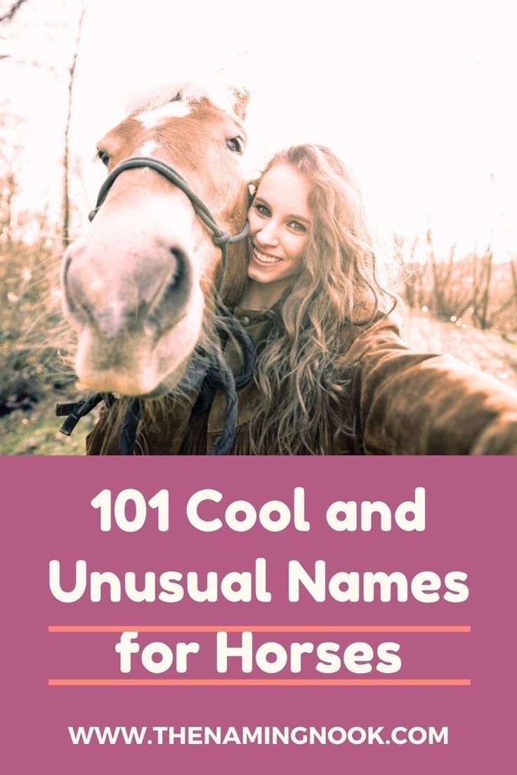 a woman is petting a horse with the words 101 cool and unusual names for horses