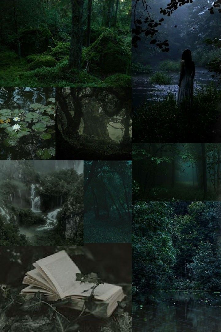 a collage of photos with trees, water and a person standing in the woods