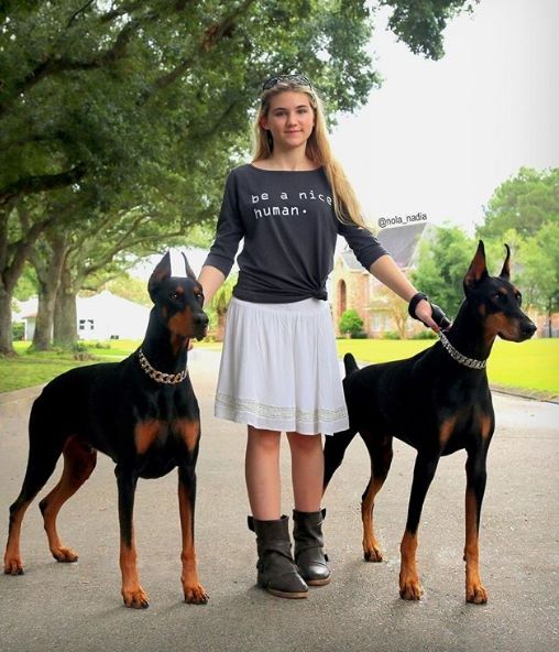 a woman standing next to two dogs on a road