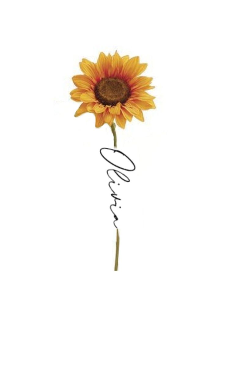 a single sunflower with the word love written in cursive writing on it