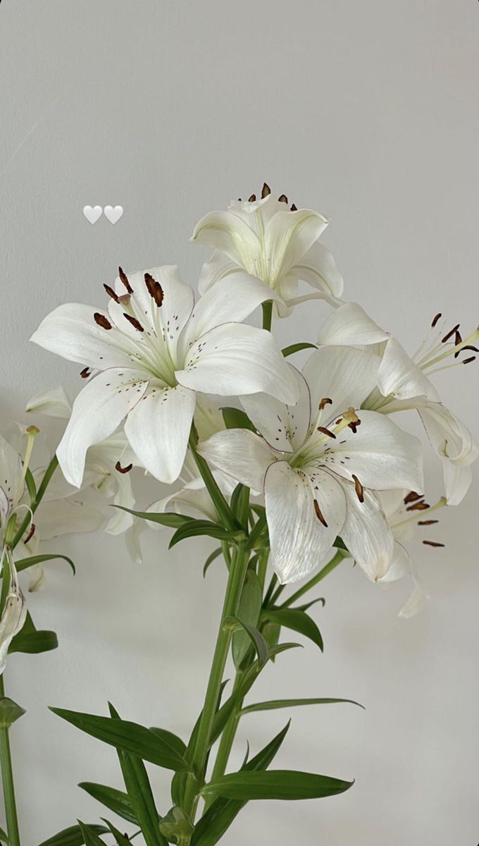 some white flowers are in a vase on a table next to a heart shaped wall