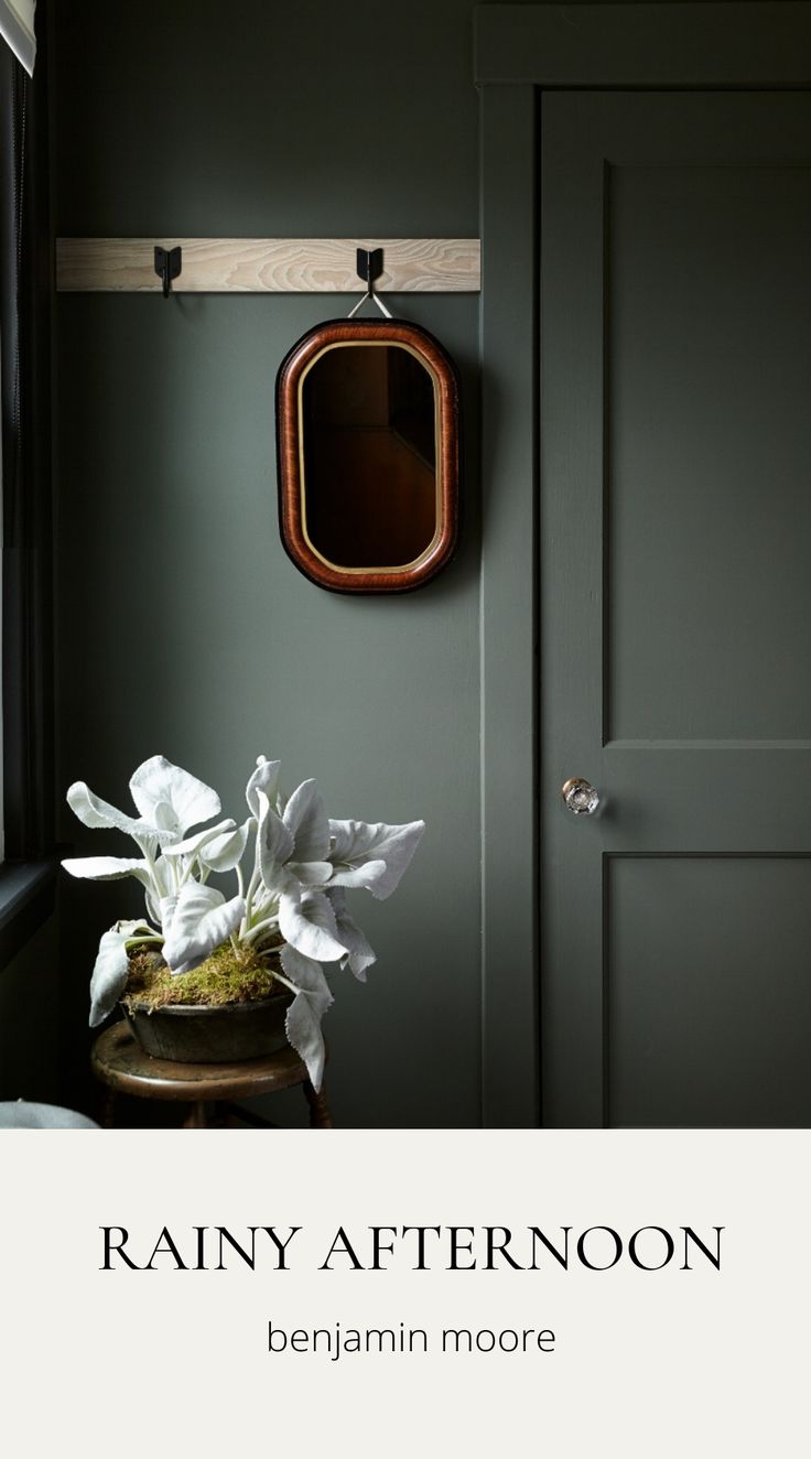 a potted plant sitting on top of a wooden table next to a green door