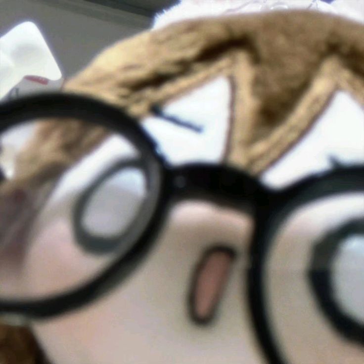 a close up of a stuffed animal wearing glasses