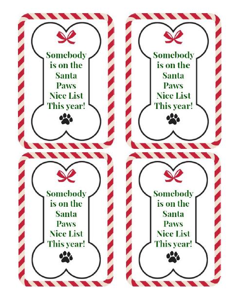 four red and white striped tags with words on the front, one saying somebody is on the santa's nice list