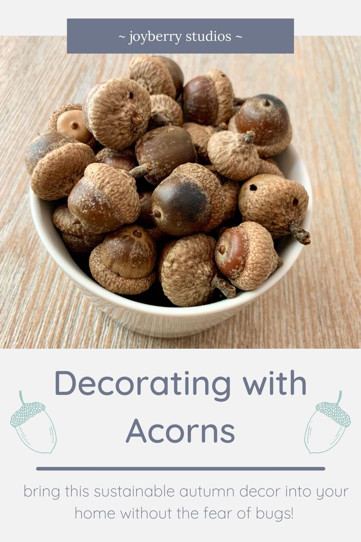 a bowl filled with acorns sitting on top of a wooden table