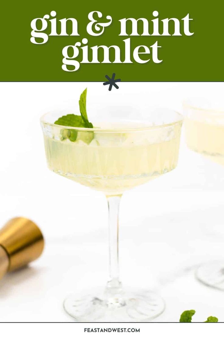 gin and mint gimlet cocktail in a coupe glass with garnish on the rim