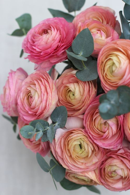 a bouquet of pink flowers with green leaves