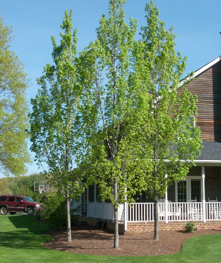 a large house with trees in front of it