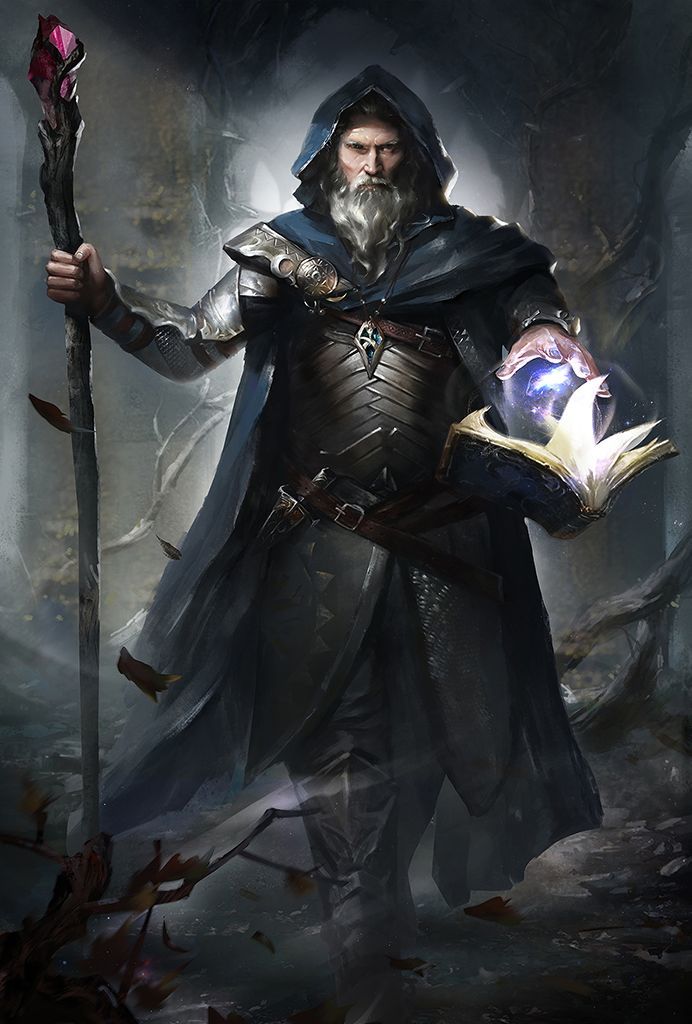 a man with a long beard holding a magic book