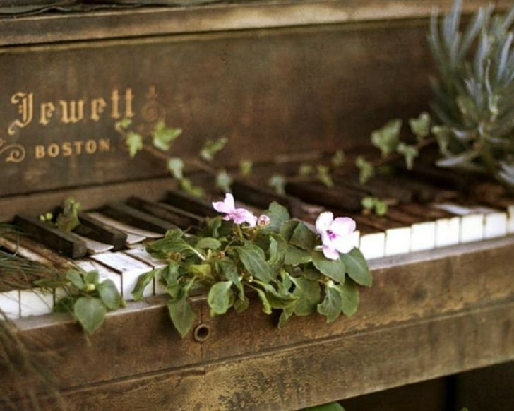 an old piano with flowers growing out of it