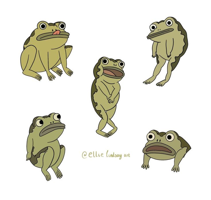 four different types of frog sitting on their hind legs and looking up at the camera