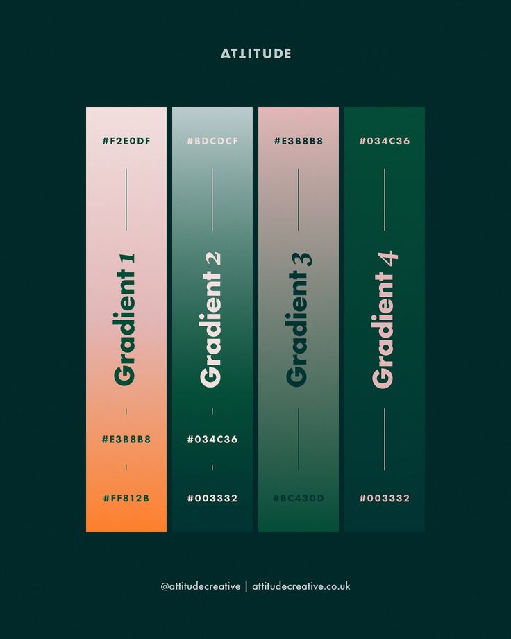 an image of a book cover with different font and colors