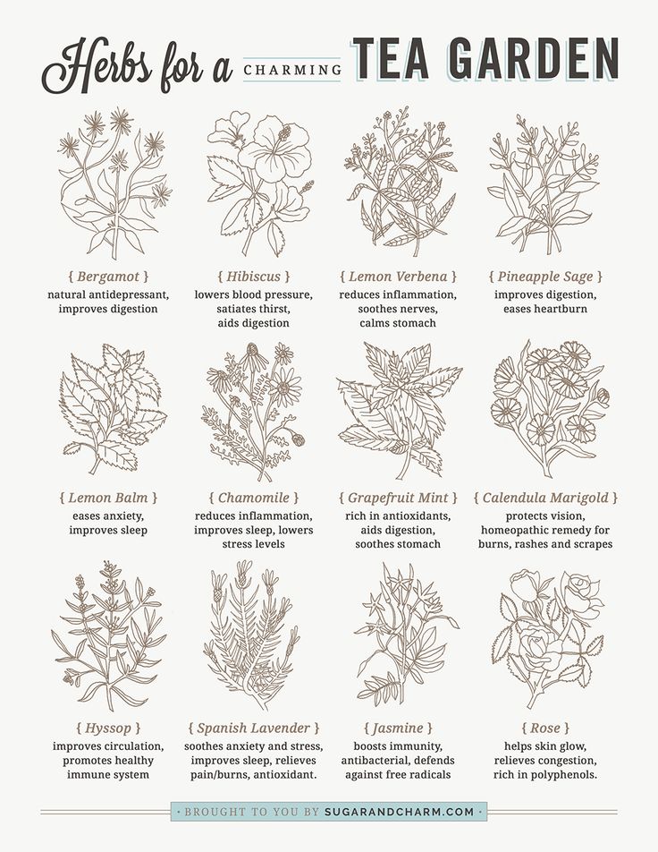 herbs for a tea garden poster with instructions on how to use them in the kitchen