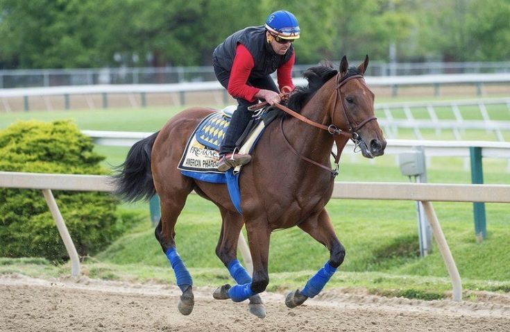 a man riding on the back of a brown horse down a race track with trees in the background