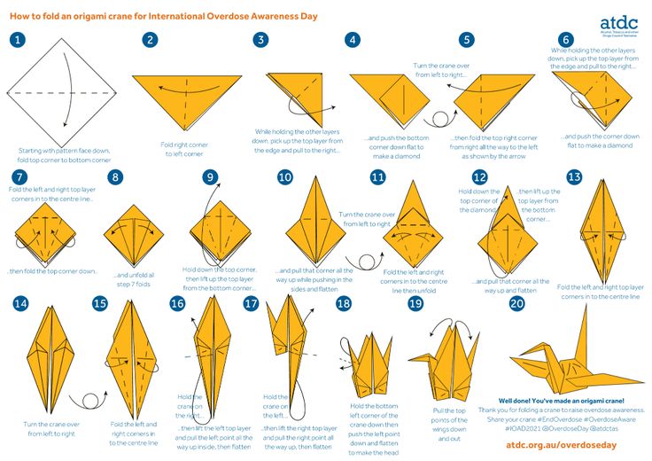 how to make an origami bird with pictures - step by step instructions for