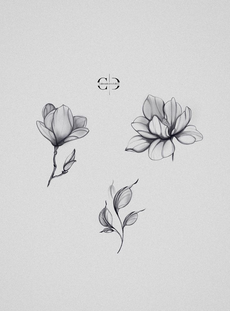 three black and white flowers on a light gray background with an arrow in the middle