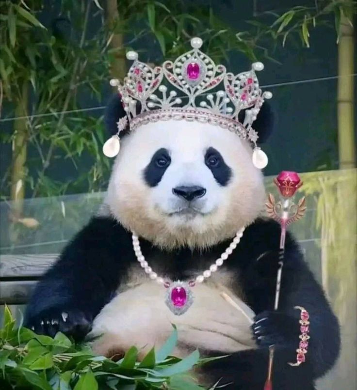 a panda bear wearing a tiara and holding a flower in it's hand