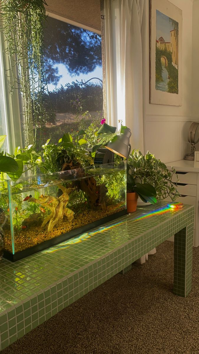 a fish tank filled with plants sitting on top of a green table next to a window