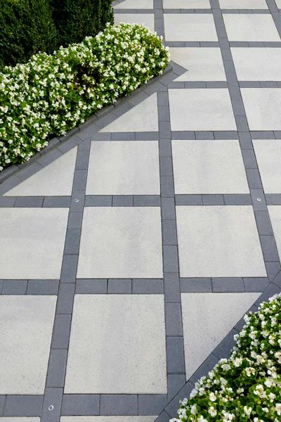 the walkway is lined with small white flowers