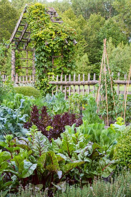 a garden filled with lots of green plants next to a wooden trellis covered in vines