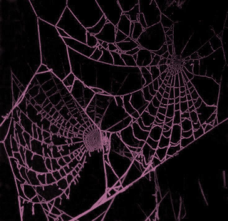 a spider web is shown in the dark with pink light on it's side