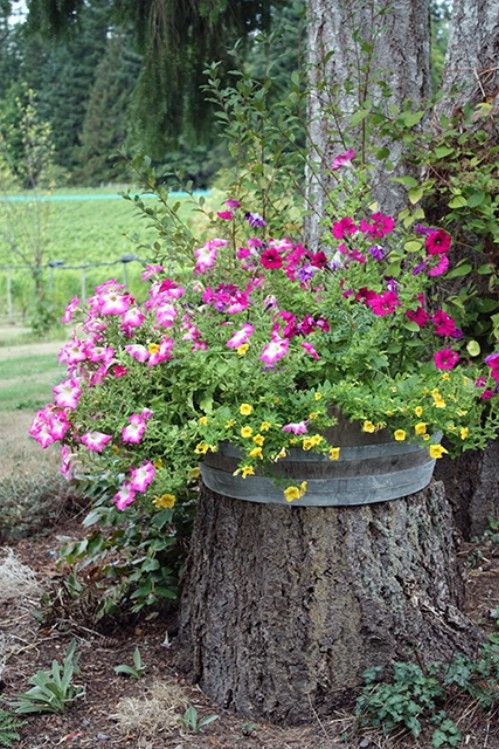 a tree stump with flowers growing out of it