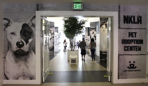 an entrance to a pet grooming center with two dogs on the wall and people walking by