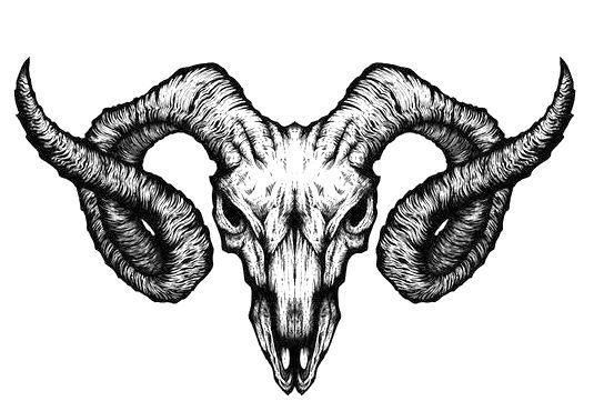 an animal's skull with large horns and long horns on the head, hand drawn