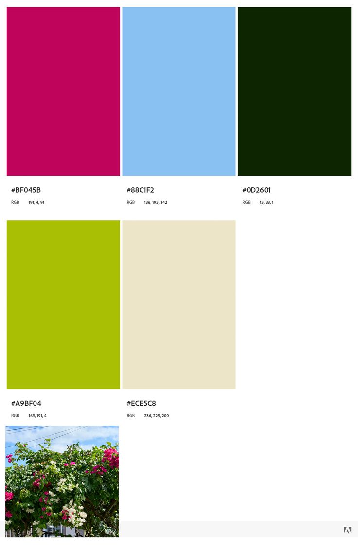 the color scheme is shown with different shades and colors in each section, including pink, green